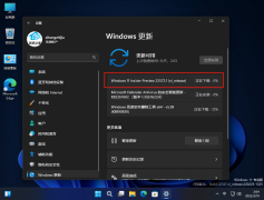 ΢Win11 Buiild 22572.1(ni_release)Ԥ