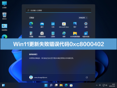 Win11ʧܴ0xc8000402ô죿