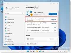 ΢Win11 Build 25120.1000(rs_prerelease) DevԤ淢