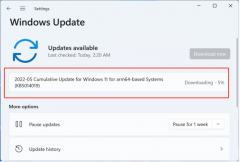 ΢Win11 KB5014019(22000.708) ޸Ӧóƻ