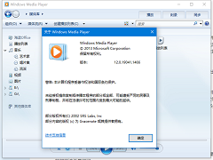 Windows Media Player޷Ÿļʽô죿