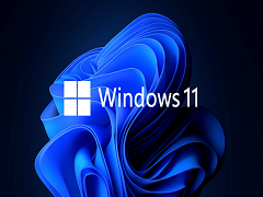 Win11İ Windows11¾澵