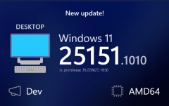 ΢Էܵ£Win 11  KB5016322  Build 25151.1010