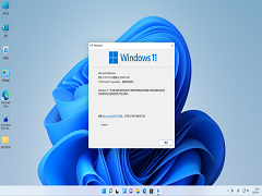 Win11°汾 Windows11¾ISOļذװ