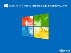 Win10רҵ64λϵͳأװרã