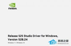 NVIDIA528.24صַ