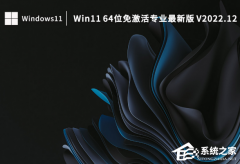 Win11üϵͳأWin11 64λ⼤רҵ°