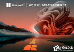 Win11ϵͳĸ汾Win11 22H2רҵϵͳ