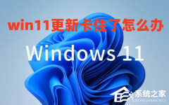 Win11ϵͳ¿סô죿Win11ϵͳסĽ