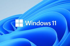 Win11޷ô