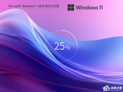 ޷Win11 23H2ô