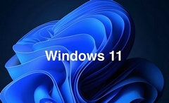 Win11ô-Win11ݼʲô