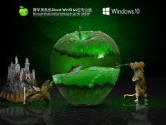 ƻWindows10 64λרҵװ V2021.09