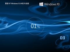 ͨá HP Windows10 64λ רҵװ