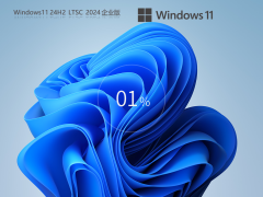 5֧֡Windows11 24H2 LTSC 2024 ҵ