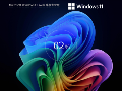 Windows11 24H2 רҵISO