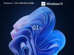 CAD/ʦ/ͼơWindows11 24H2 רҵվ